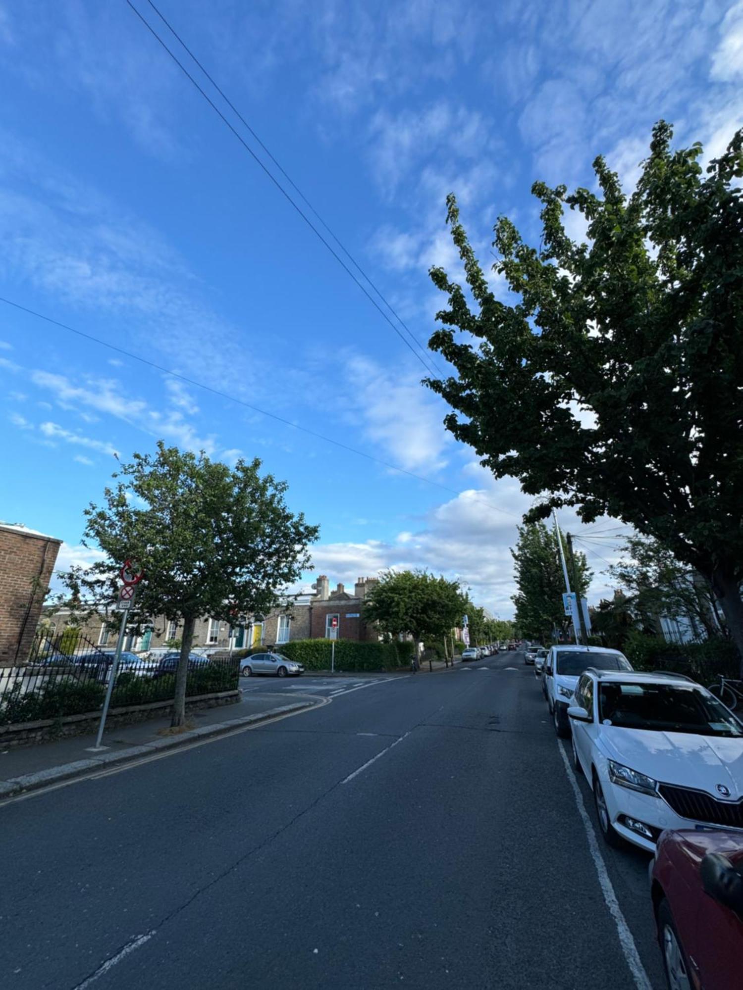 Heytesbury St Portobello Flat 6 Daire Dublin Dış mekan fotoğraf